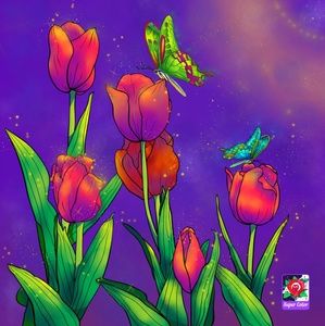 Meet your Posher, Amanda